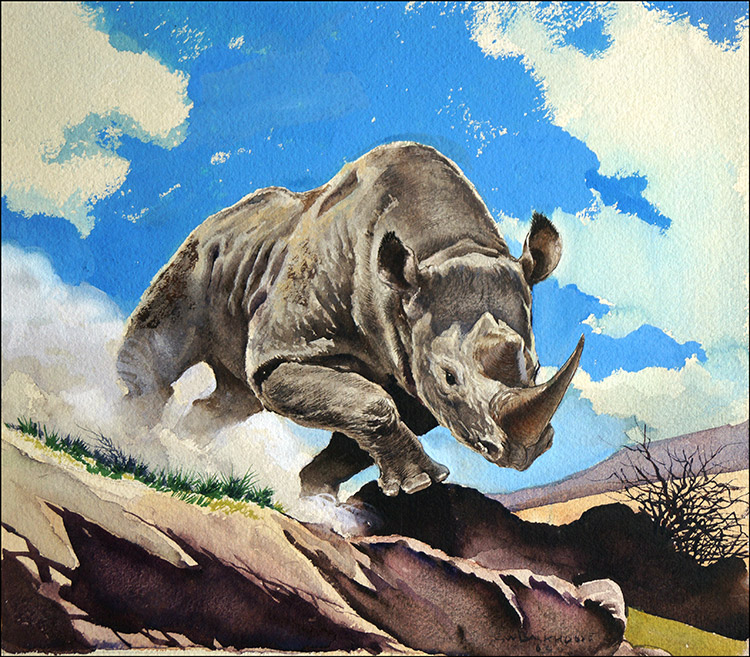 White Rhinoceros (Original) (Signed) by G W Backhouse Art at The Illustration Art Gallery