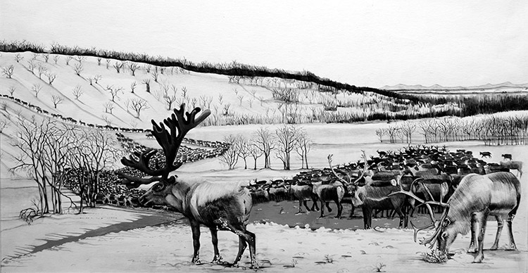 A White Wilderness (Original) by Susan Neale Art at The Illustration Art Gallery