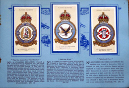 Cigarette cards in album: Set of 50 RAF Badges (50 cards) 