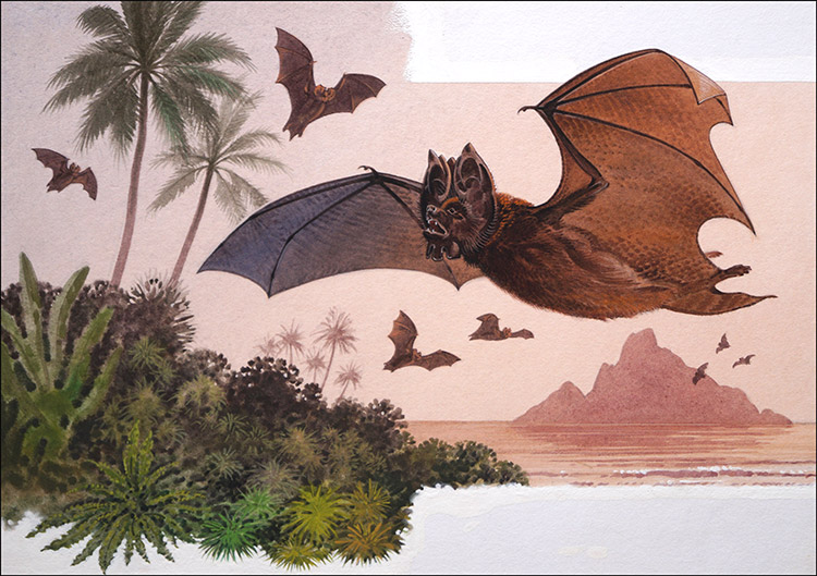 Flower Faced Bat (Original) by Bernard Long Art at The Illustration Art Gallery