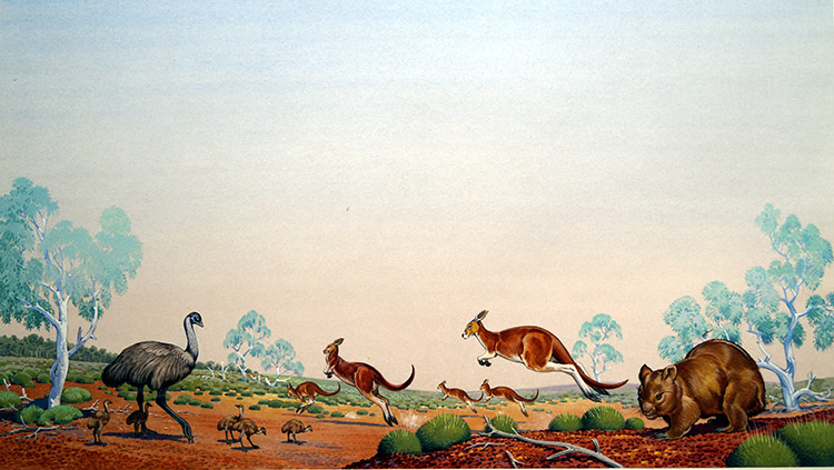 Animals of the Australian Outback (Original) by Bernard Long Art at The Illustration Art Gallery